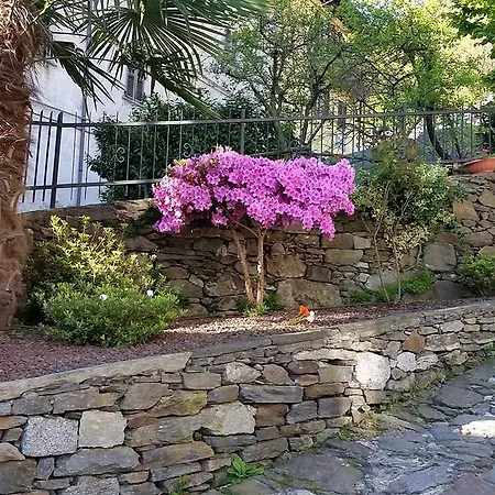 Casa Aurelia *